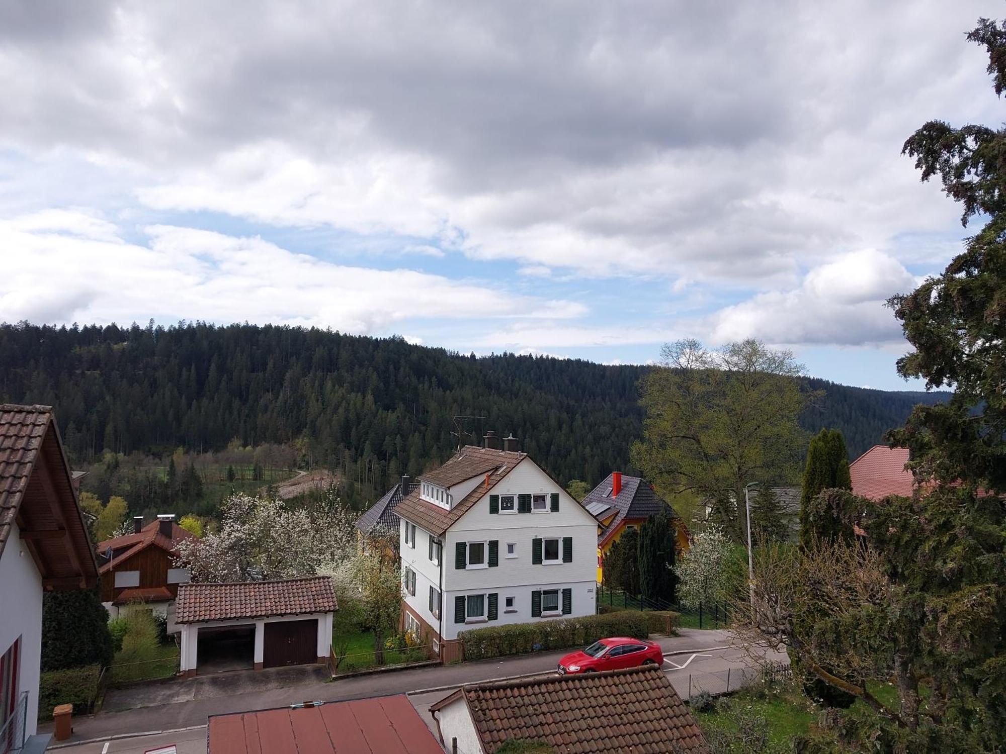 Fewo Salenberg Freudenstadt Bagian luar foto
